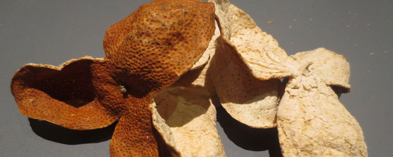 陳皮、橘紅、化橘紅的區(qū)別分別是什么 化橘紅的產地在哪里