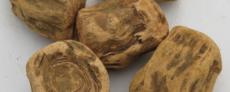 大黃市場前景怎么樣 種植中藥大黃畝產量多少公斤