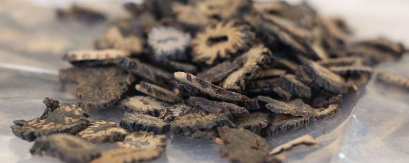 肉蓯蓉怎么吃最好（可以直接吃嗎） 女人吃肉蓯蓉的好處