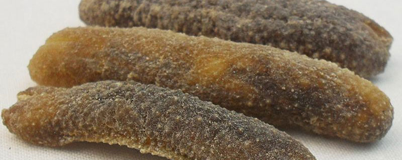 光參、刺參、遼參、北極參的區別分別是什么