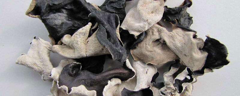 白背木耳市場價格多少錢一斤 白背木耳產地在哪里