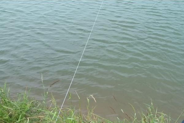 對蝦養(yǎng)殖水質(zhì)大全