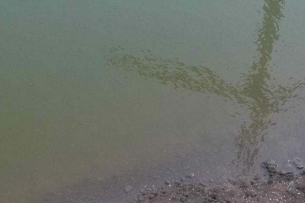 對蝦養(yǎng)殖水質(zhì)大全