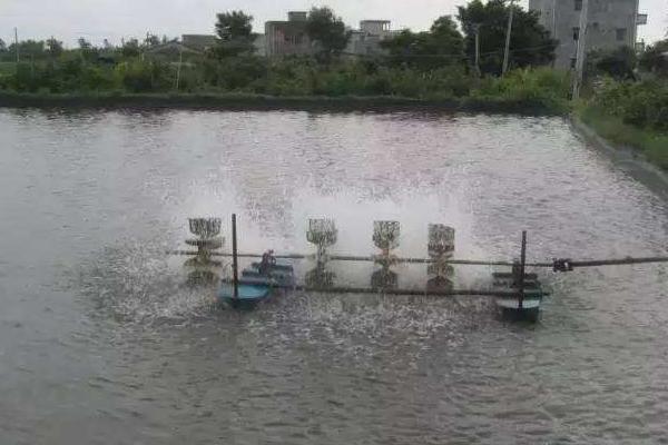 對蝦養(yǎng)殖水質(zhì)大全