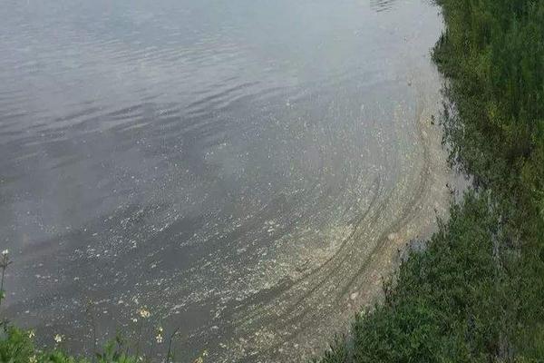 對蝦養(yǎng)殖水質(zhì)大全