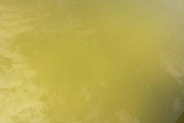 對蝦養(yǎng)殖水質(zhì)大全