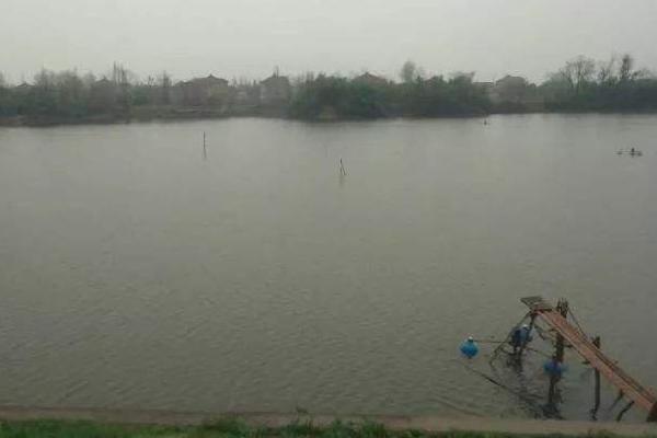 對蝦養(yǎng)殖水質(zhì)大全