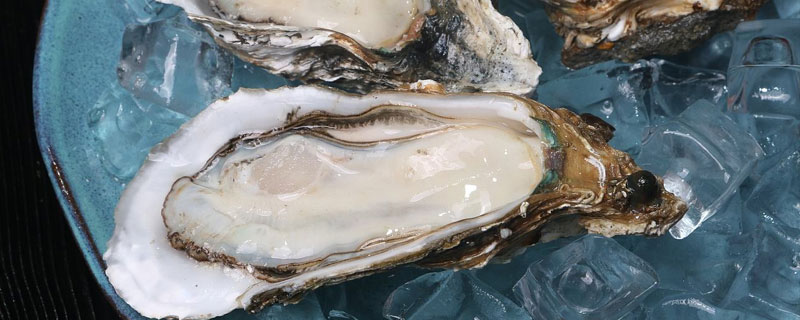 牡蠣和生蠔的區別是什么 牡蠣是生蠔嗎