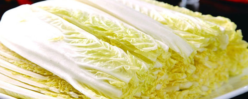 娃娃菜是轉基因蔬菜嗎 娃娃菜有甲醛是真的嗎