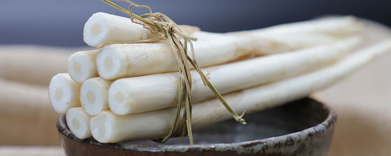 象牙菜是哪里盛產(chǎn)的 象牙菜海南可以種植嗎