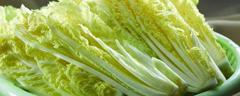 娃娃菜與大白菜的區別是什么 娃娃菜是白菜嗎