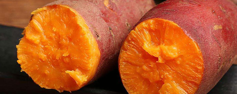 蜜薯是轉基因的嗎 蜜薯有哪些品種