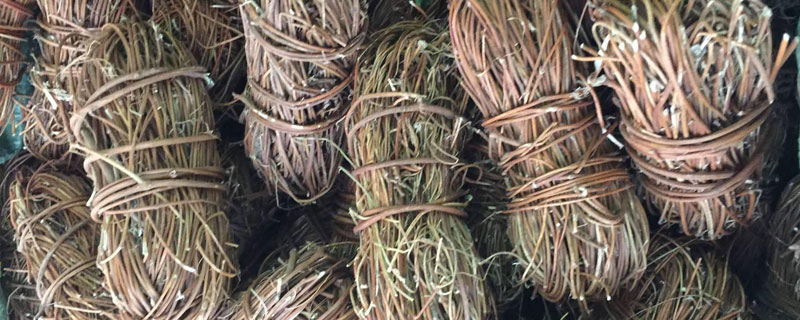 雞骨草市場價格多少錢一斤 雞骨草有幾種