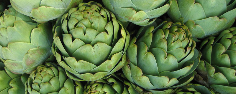 朝鮮薊和水飛薊哪個(gè)好 朝鮮薊和水飛薊的區(qū)別是什么