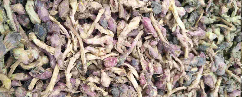 款冬花種植效益好嗎 款冬花產(chǎn)地在哪里