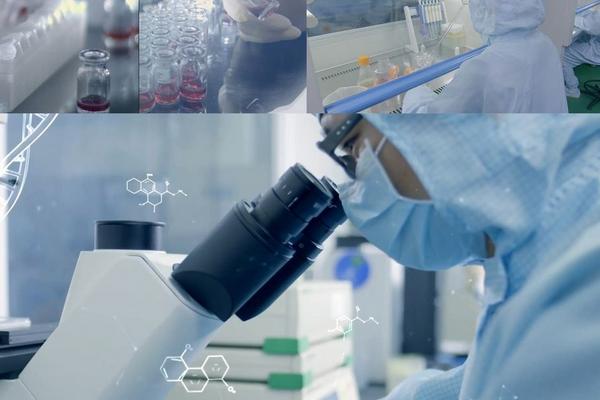 什么工作掙錢快又多