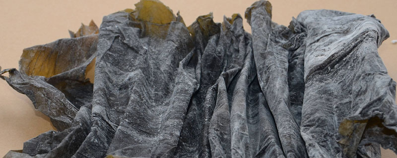 怎么分辨海帶是否變質 海帶起泡泡怎么回事