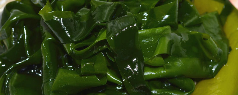 海白菜和海帶哪個好 干海帶和濕海帶哪個好