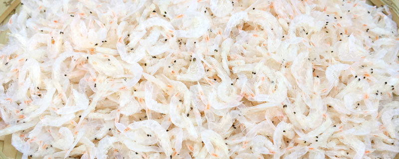 干蝦米要泡多久 干蝦米怎么保存 蝦米放冰箱能放多久