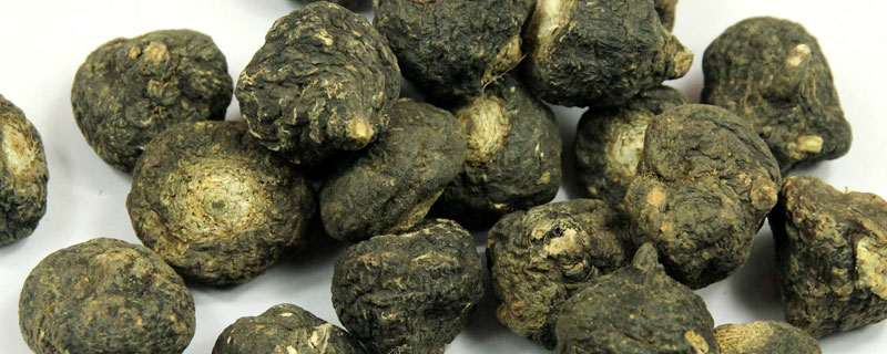 瑪卡有假的嗎 瑪卡怎樣分辨真假（大的好還是小的好）