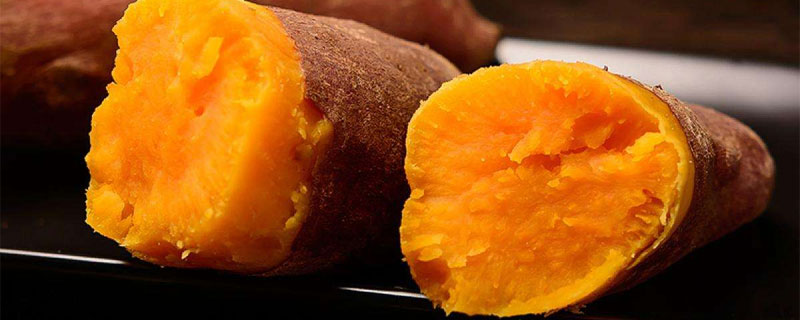 蜜薯和紅薯的區別是什么 蜜薯和紅薯哪個更好吃