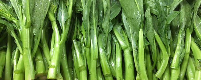 菜心市場價格多少錢一斤 菜心產(chǎn)地在哪里