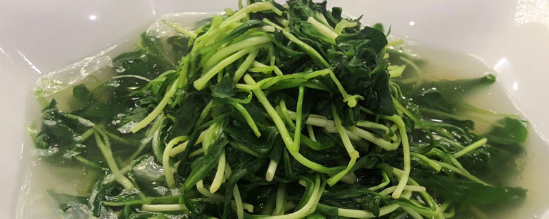 馬蘭頭為什么苦 馬蘭頭苦的能吃嗎(怎么做不苦)