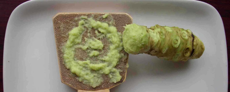 辣根是芥末嗎 辣根和芥末、山葵的區(qū)別是什么