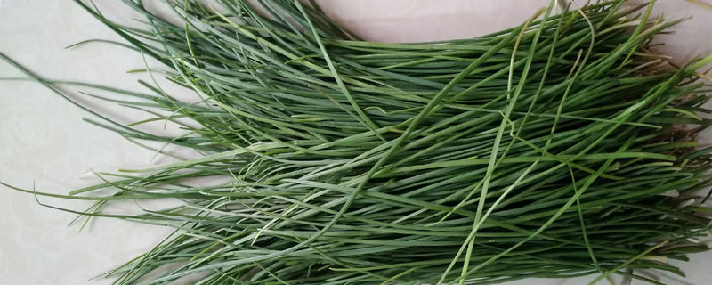 新鮮野韭菜市場(chǎng)價(jià)格多少錢一斤 野韭菜幾月上市