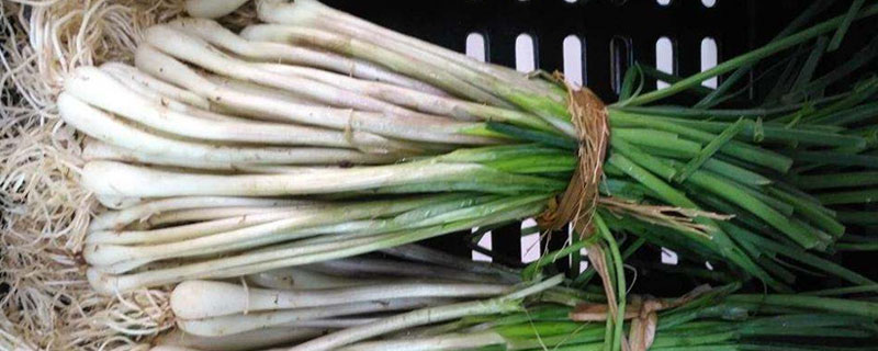 藠頭和蒜頭、蔥的區別是什么 藠頭和蒜頭、蔥都能生吃嗎