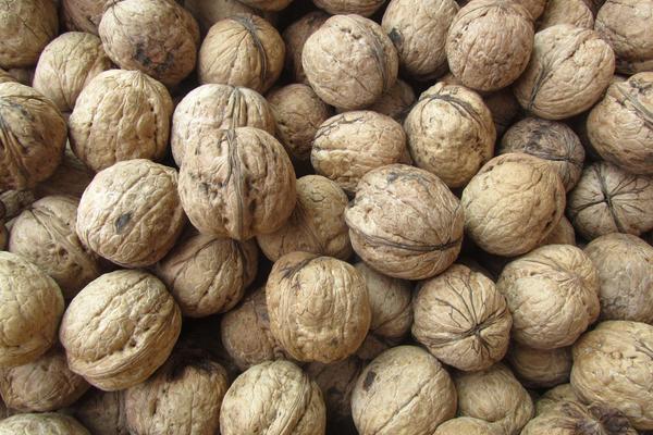 每天吃核桃的好處是什么