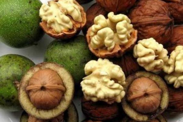 核桃的種類有哪些 核桃品種大全