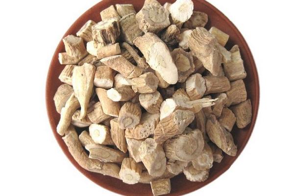 板藍根的功效與作用及禁忌