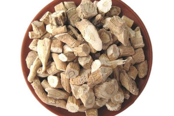 板藍根圖片大全 板藍根簡介