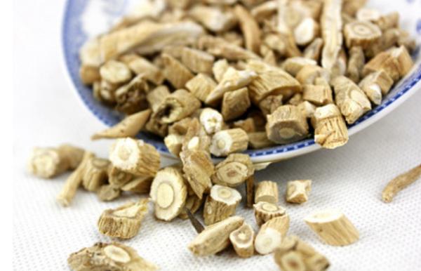 板藍根圖片大全 板藍根簡介