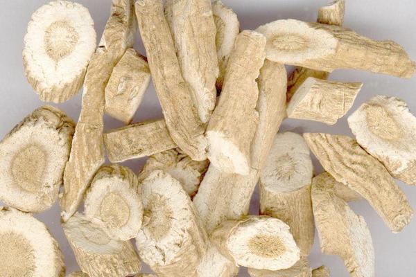 板藍根圖片大全 板藍根簡介