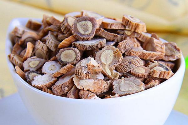 板藍根圖片大全 板藍根簡介