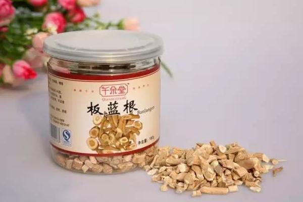 板藍(lán)根孕婦能喝嗎