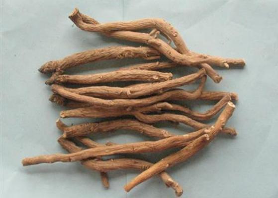 板藍(lán)根孕婦能喝嗎