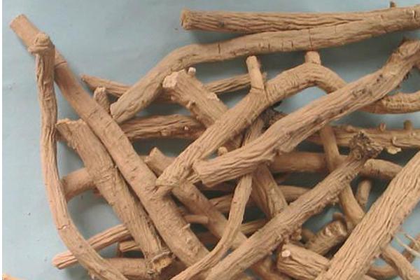 板藍(lán)根孕婦能喝嗎