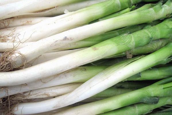 豬肉大蔥餃子餡怎么調(diào) 豬肉大蔥餃子餡做法大全