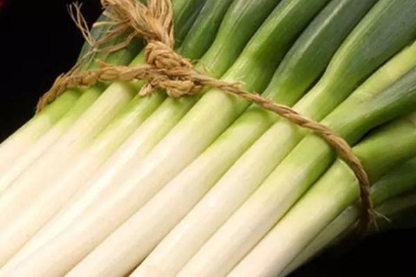 大蔥壯陽嗎 吃大蔥有什么好處