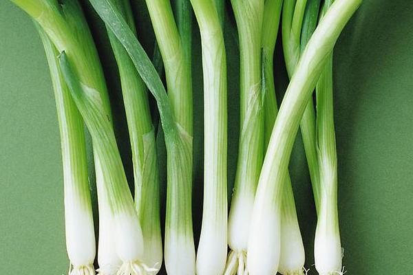 大蔥圖片大全 大蔥簡介