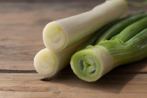 大蔥圖片大全 大蔥簡介