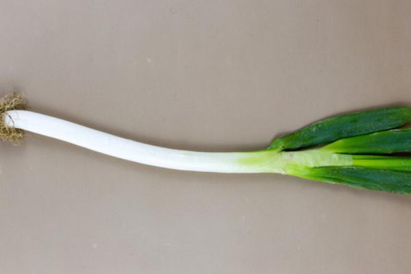 大蔥圖片大全 大蔥簡介