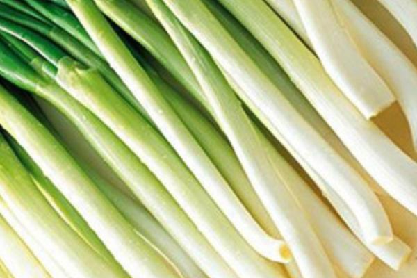 大蔥圖片大全 大蔥簡介