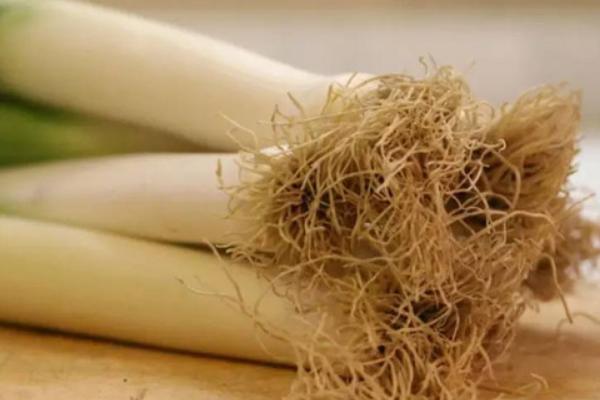 大蔥根的功效與作用及禁忌