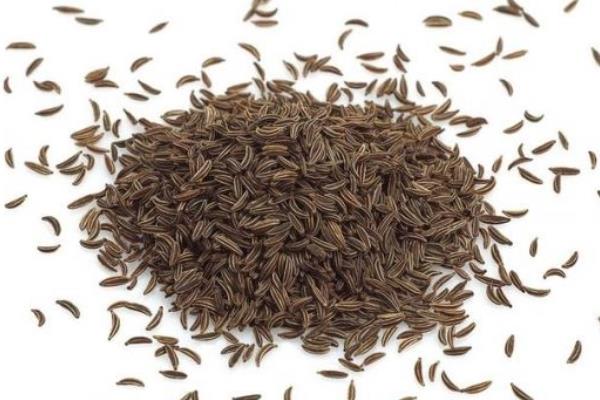 芹菜籽的功效與作用及禁忌