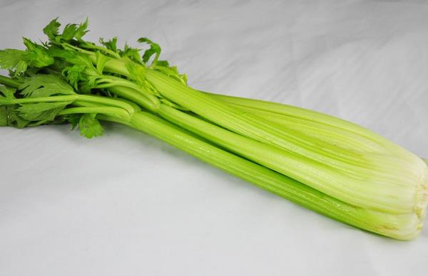 芹菜市場價格多少錢一斤