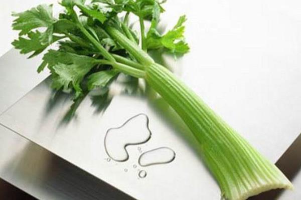 吃芹菜過敏癥狀及處理方法